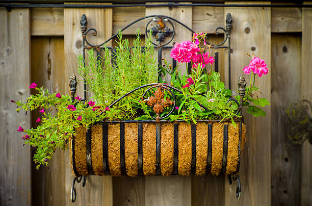istock Flower plants in home garden 186782147