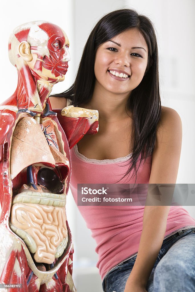 Étudiant avec Modèle anatomique du corps humain - Photo de Abdomen libre de droits