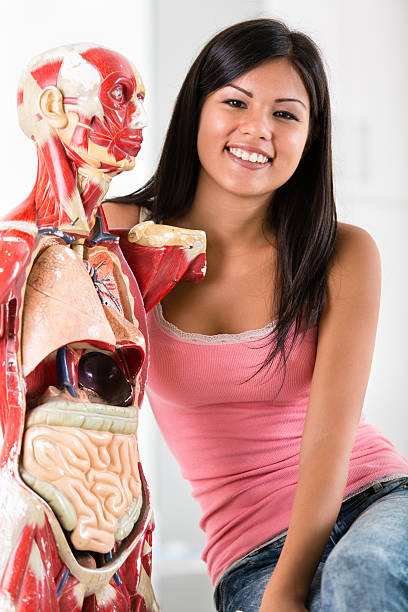 Portrait of smiling student sitting next to the anatomical model of human body.