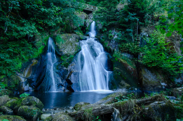 cachoeiras de triberg - black forest waterfall triberg landscape - fotografias e filmes do acervo
