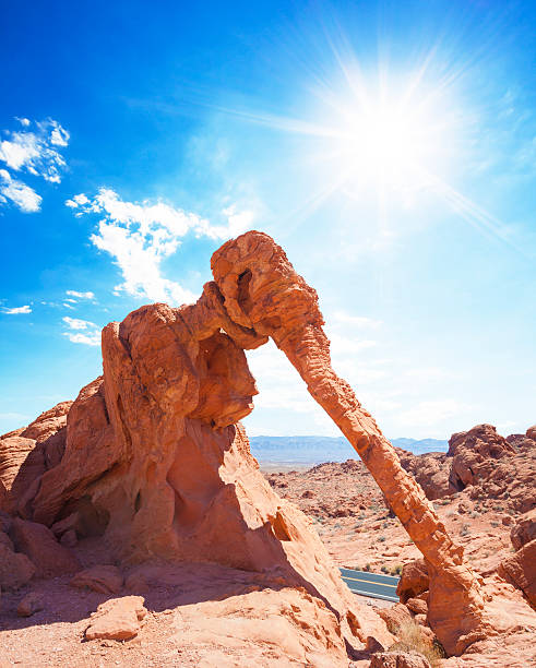istock Elephant Rock Las Vegas Nevada Valley of Fire 186783762