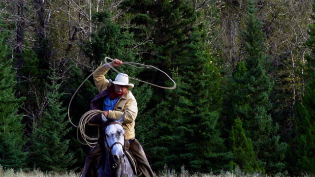 Cowboy galloping on horseback Swinging lariat