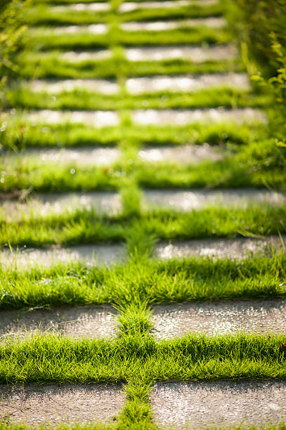 Concrete Floor with Green Grass Close-up of concrete floor with green grass in park. fz009 stock pictures, royalty-free photos & images