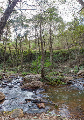 Ruecas river flowing through Villuercas geopark landscapes, Caceres, Extremadura, Spain