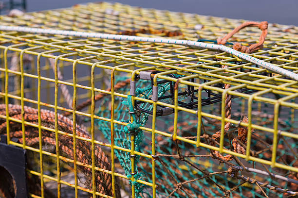 Lobster Trap Close Up stock photo