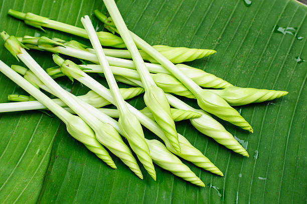 Ipomoea alba L. / Edible flowers. on banana leaf background stock photo