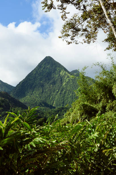 istock Martinique tropical landscape 1867864711