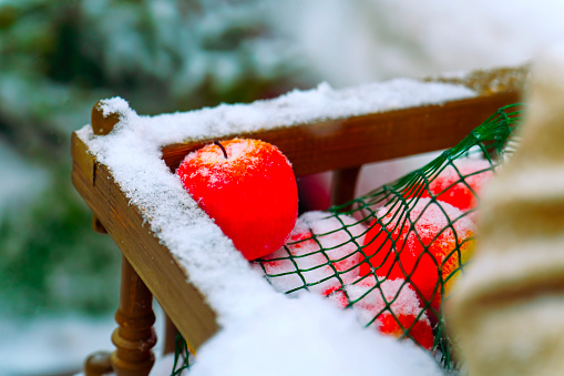 Red apples in the net are covered with snow