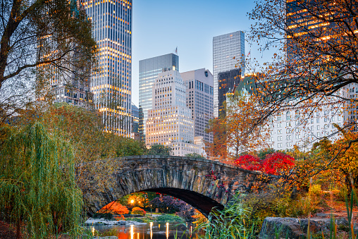 New York, New York, USA at Central Park in autumn season.