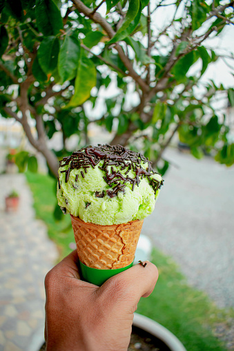 Young slim Caucasian man holding with his left hand a chocolate mint ice cream with a flower pot background