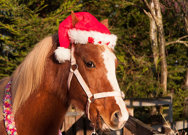 istock Merry Christmas to you 186789531
