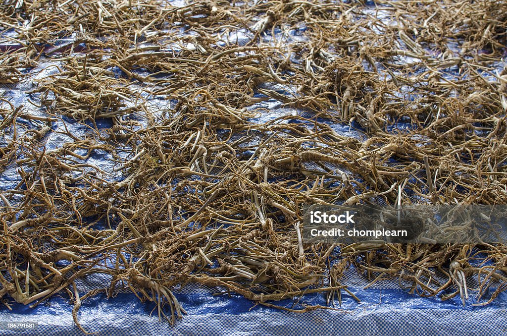 Ginseng Chinese ginseng Alternative Medicine Stock Photo