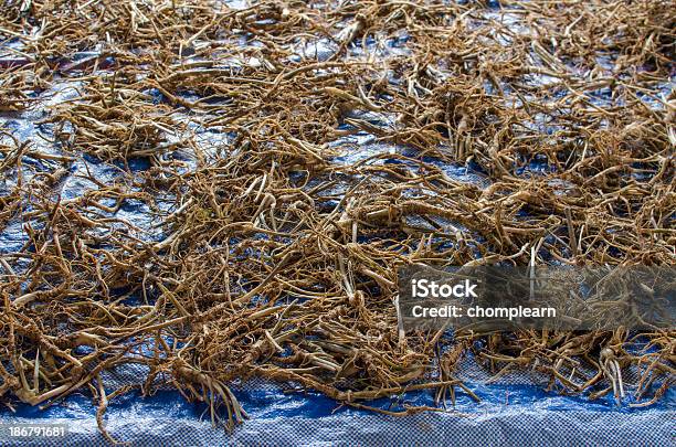 Ginseng Stock Photo - Download Image Now - Alternative Medicine, Backgrounds, Chinese Culture