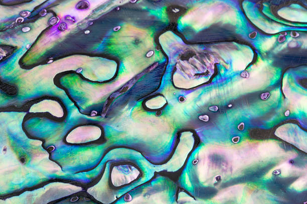 istock Close up shot of blue abalone pearl shell 186792081