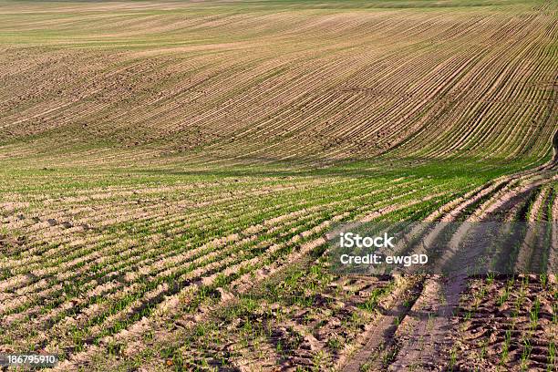 Gepflügtes Feld Stockfoto und mehr Bilder von Agrarbetrieb - Agrarbetrieb, Anbau von Rasen, Erdreich