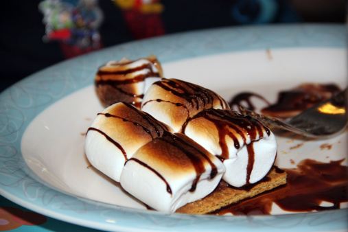 Fancy smores served on a plate with chocolate drizzled over the top.