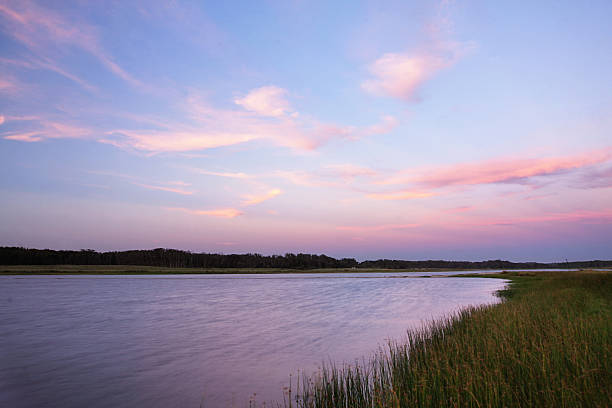 istock Lagoon with grass at sunset with pink clouds 186797015