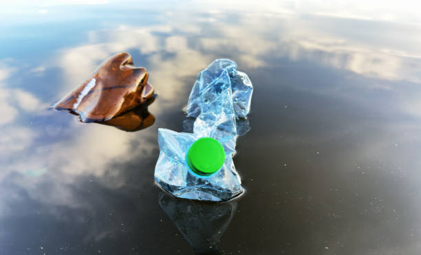 istock Marine plastic pollution. Plastic waste in lake. Microplastics groundwater poisoning. 1867973616