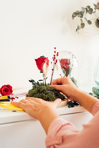 Crop of anonymous female florist hands in full sleeves arranging green plants and red rose flowers dry leaves on wicker basket in daylight against gray wall in floristry workshop