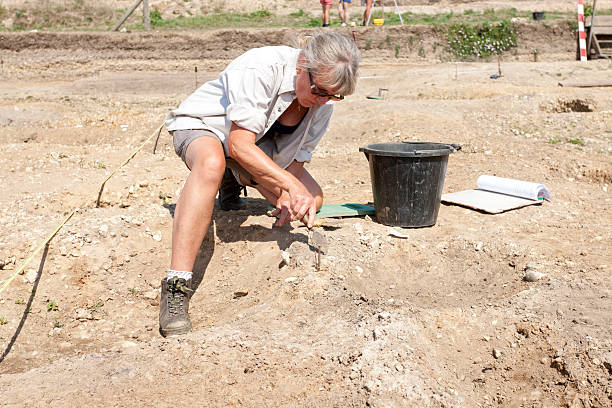 archaeological dig - archeoloog stockfoto's en -beelden