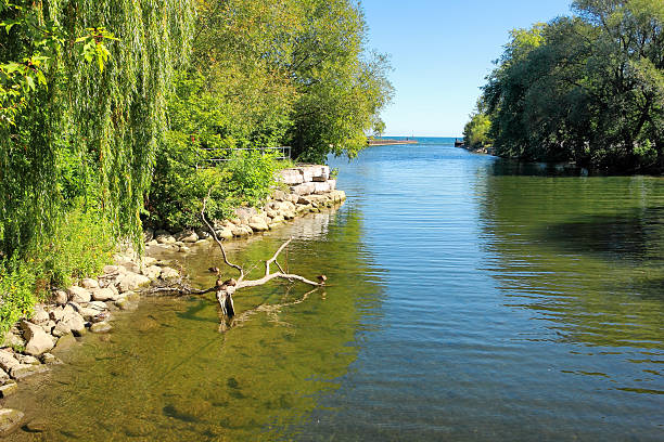 Etobicoke Creek Mouth of Etobicoke Creek in Marie Curtis Park near Lake Ontario. The park includes sections in Etobicoke and Mississauga etobicoke stock pictures, royalty-free photos & images