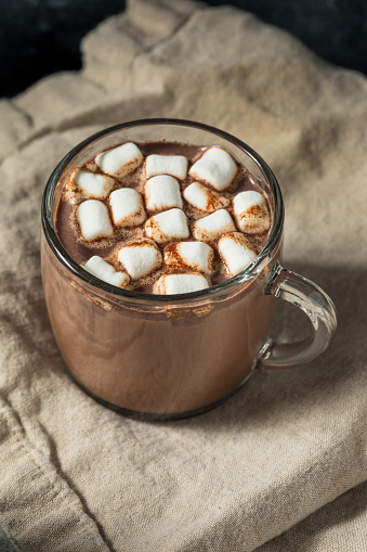 Sweet Warm Hot Chocolate Cocoa with Marshmallows