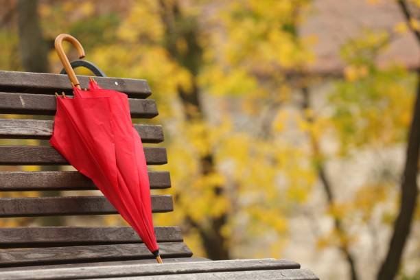 istock Red umbrella on bench in autumn park, space for text 1867980386