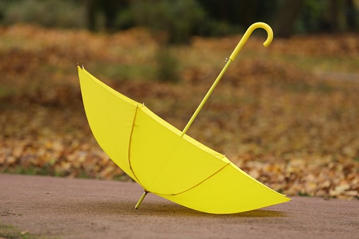 Autumn atmosphere. Open yellow umbrella in park