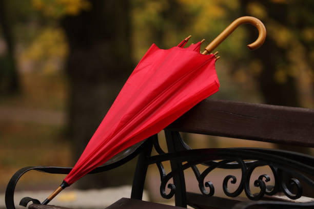 istock Red umbrella on bench in autumn park 1867980904