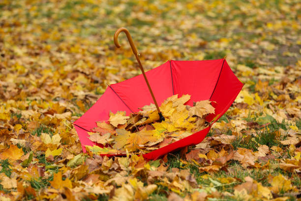 istock Open umbrella with fallen autumn leaves on grass in park 1867981955