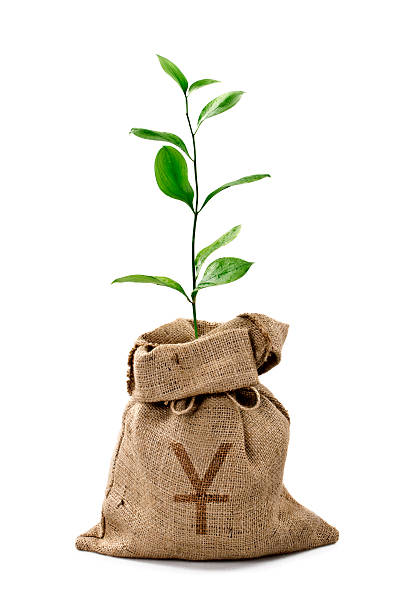 istock Money Tree/Money Bag With Chinese Yuan 186798215