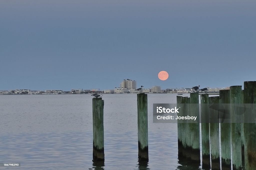 Luna piena su spiaggia e condomini Pilings - Foto stock royalty-free di Ambientazione esterna