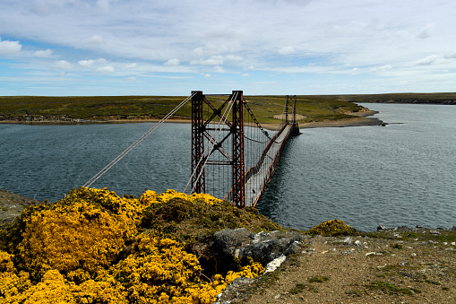 East Falkland, Falkland Islands: Bodie Creek Suspension Bridge, designed by Charles P. Peters, now abandoned and in disrepair - built in 1925, from a kit fabricated in England by David Rowell & Co. Engineers of Westminster, in order to shorten the distance sheep needed to be driven from southern Lafonia to the shearing sheds in Goose Green.
