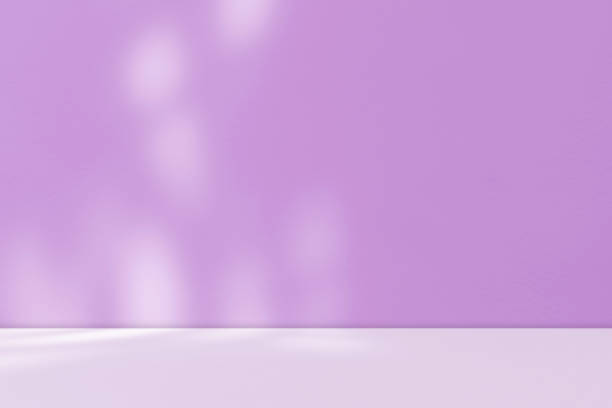 istock Purple Background Room Studio with Leaves Shadow Overlay. Product Presentation Showroom. 1867984601