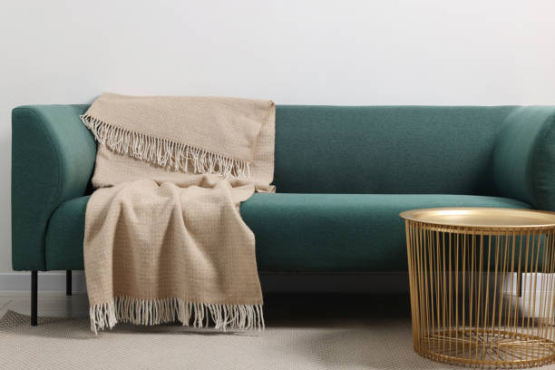 istock Comfortable sofa, blanket and side table in living room 1867990493