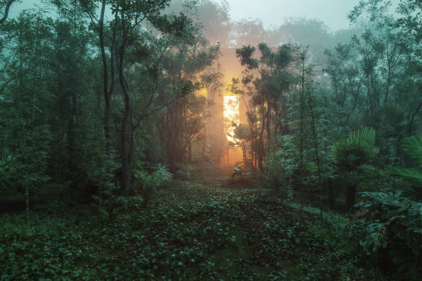 Misterioso templo de la selva en la niebla de la mañana - foto de stock