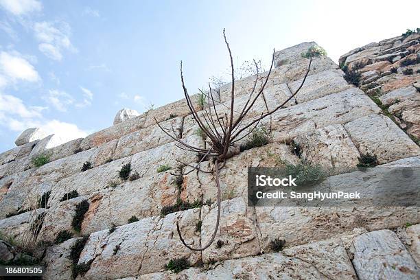 Efez Ruins - zdjęcia stockowe i więcej obrazów Abstrakcja - Abstrakcja, Archeologia, Architektura