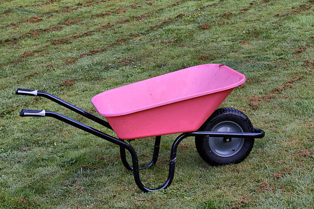 istock Empty pink wheelbarrow on mown grass 186801591