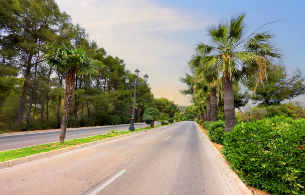istock Road with palm trees on the side. Palm trees in an empty road in suburb. 1868029219