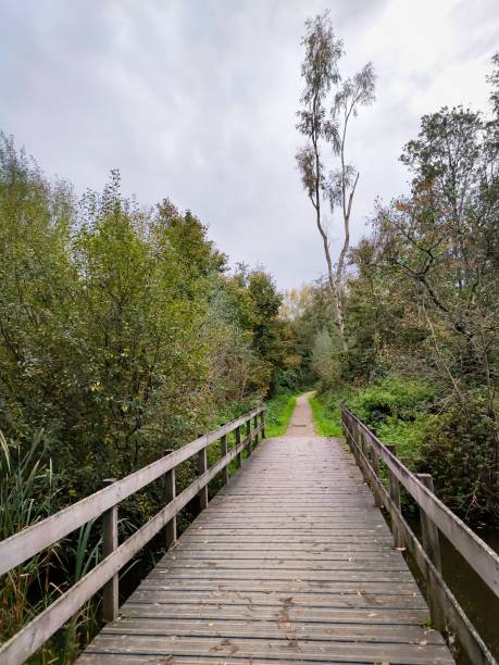 istock Perspective view of a bridge in a recreation area 1868031306