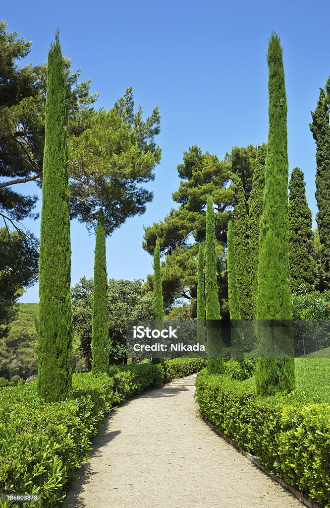 Belo jardim mediterrâneo - Foto de stock de Jardim clássico royalty-free