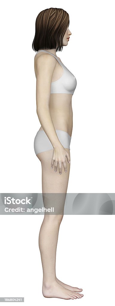 Menschlichen Körper einer Frau - Lizenzfrei Anatomie Stock-Foto