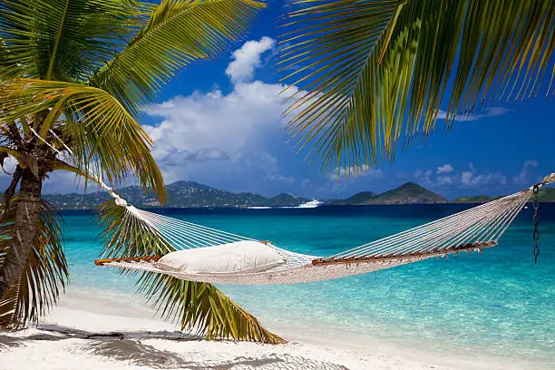 empty white hammock with a pillow stretched between two palm trees at a perfect beach in St.John, US Virgin Islands