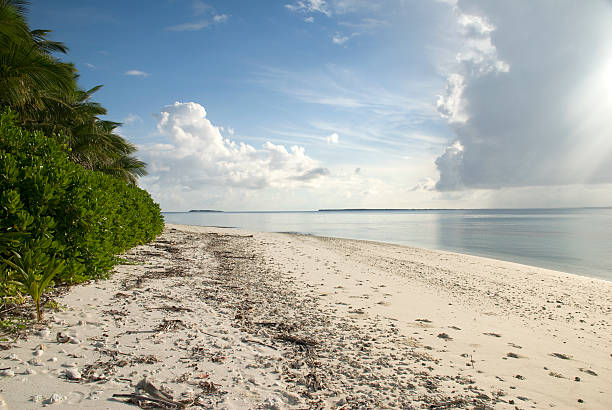 nuvoloso alla mattina - british indian ocean territory foto e immagini stock