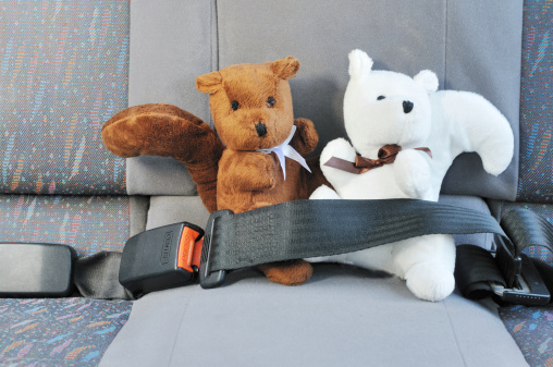 Two squirrels wearing a seat-belt in the back of a car. Suggests child safety in cars or friends travelling