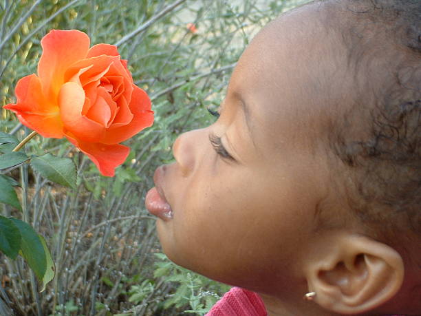 istock Stop and smell the roses 186805002
