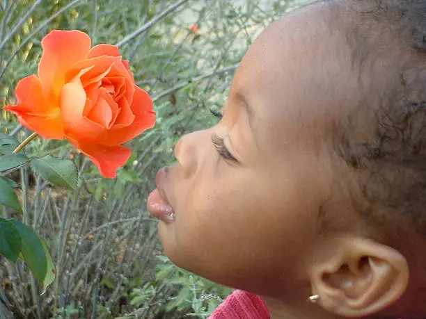 Photo of Stop and smell the roses