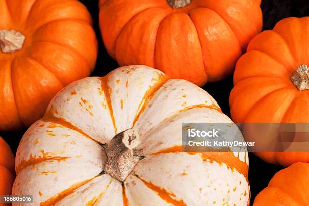Pumpkins 0명에 대한 스톡 사진 및 기타 이미지 - 0명, 가을, 계절