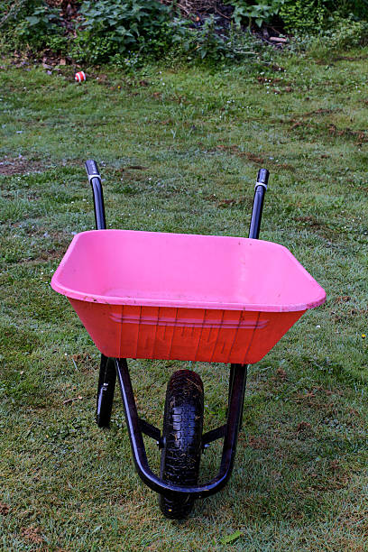 istock Empty pink wheelbarrow on mown grass 186805097