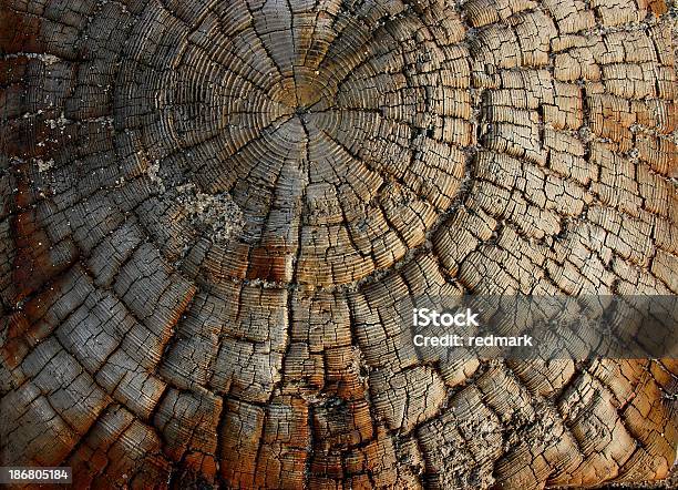 Driftwood Grunge Pattern By The Sabdy Beach Stock Photo - Download Image Now - Textured, Wood - Material, Post - Structure